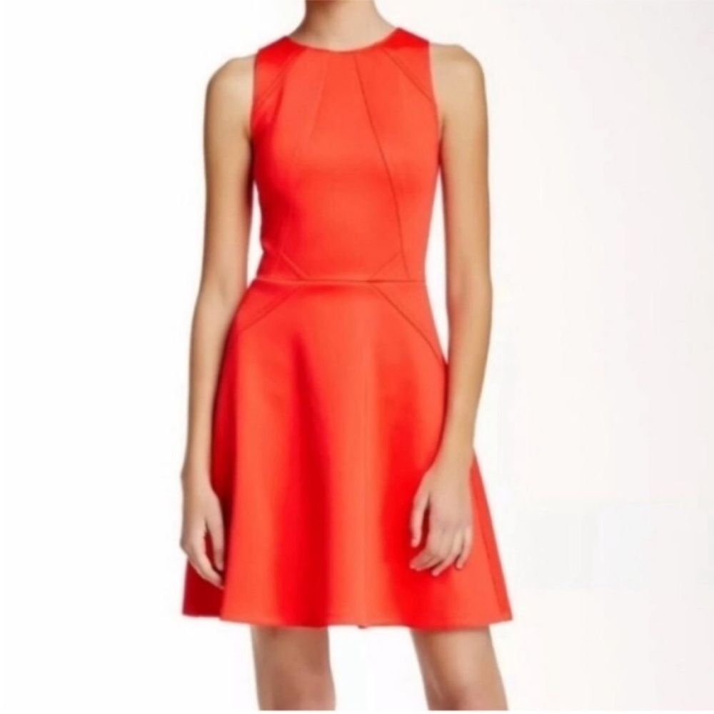 TED BAKER Mitton Peplum Fit n Flare Skater Dress M